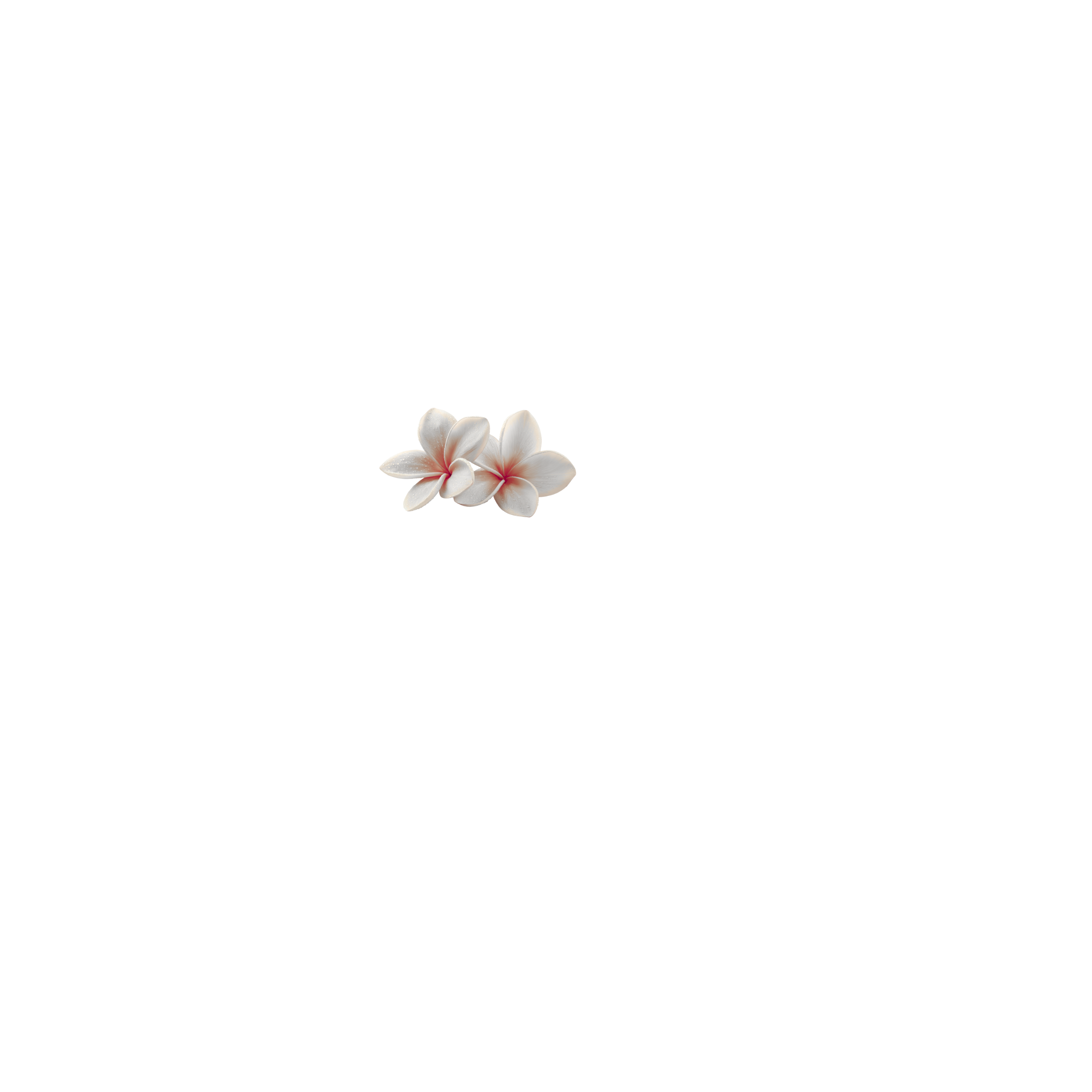 Cromstar Studio